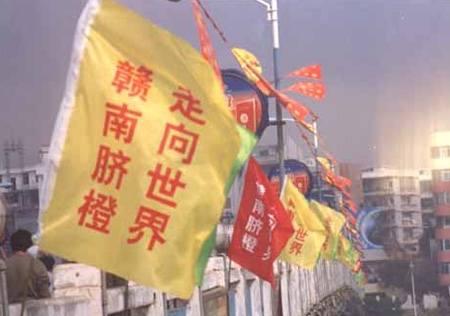 &#20061;&#24030;&#32593;&#39029;&#29256;&#45;&#20061;&#24030;&#40;&#20013;&#22269;&#41;&#95;&#20061;&#24030;&#40;&#20013;&#22269;&#41;